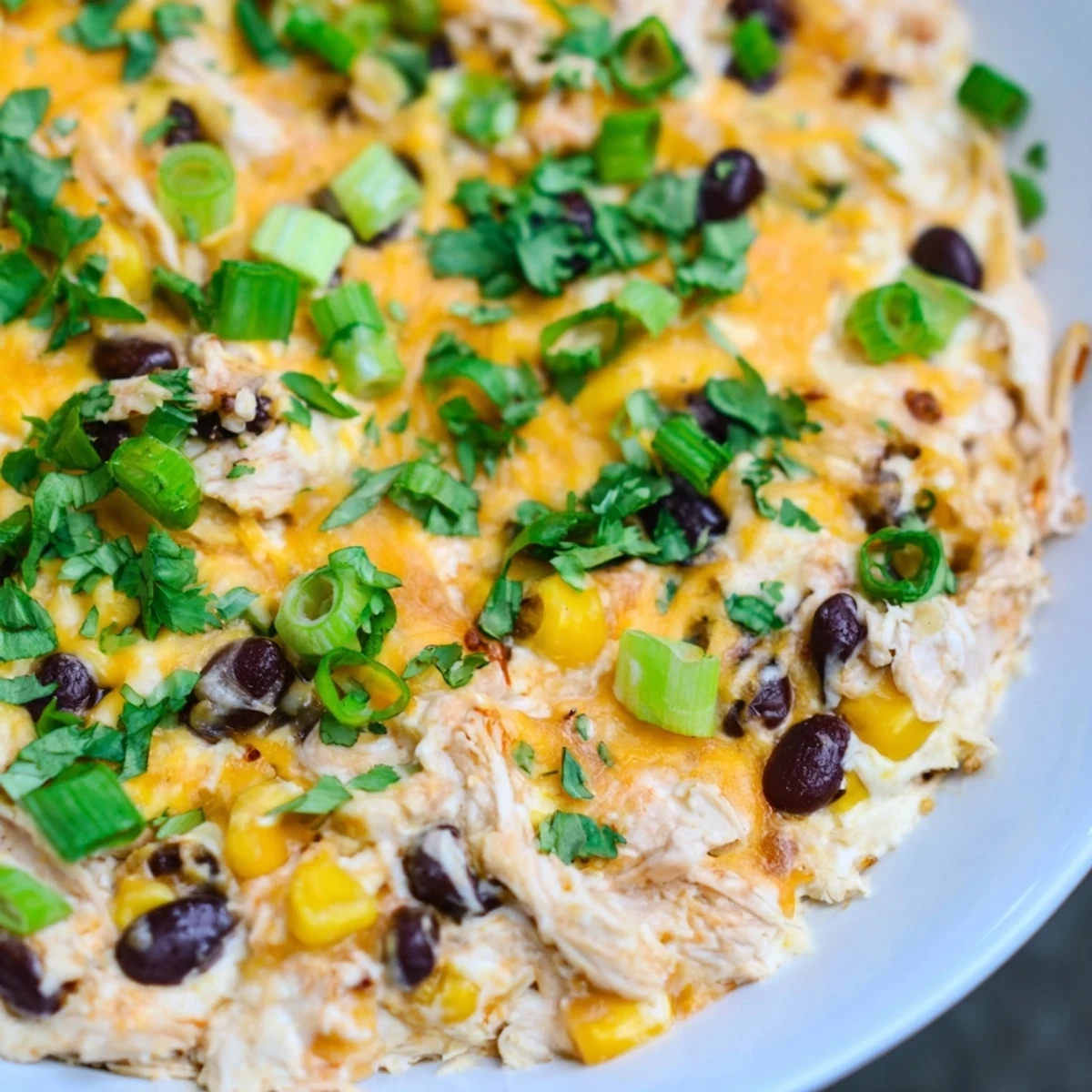 Warm, hearty Chicken Enchilada Dip loaded with tender chicken, black beans, and corn, ready to scoop with chips.