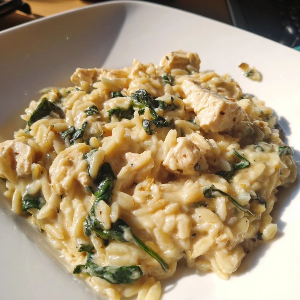 Golden chicken and orzo simmered in a rich garlic butter sauce topped with spicy Pepper Jack cheese